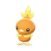 Buy Torchic in Brilliant Diamond & Shining Pearl